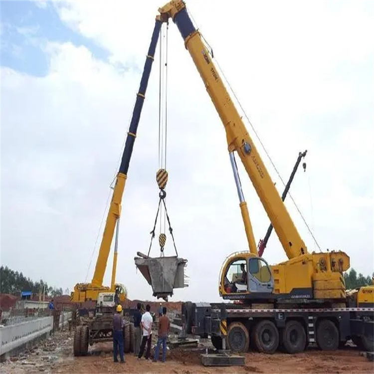 博鳌镇小型吊机出租电话|厂房设备吊装方案|24小时服务覆盖